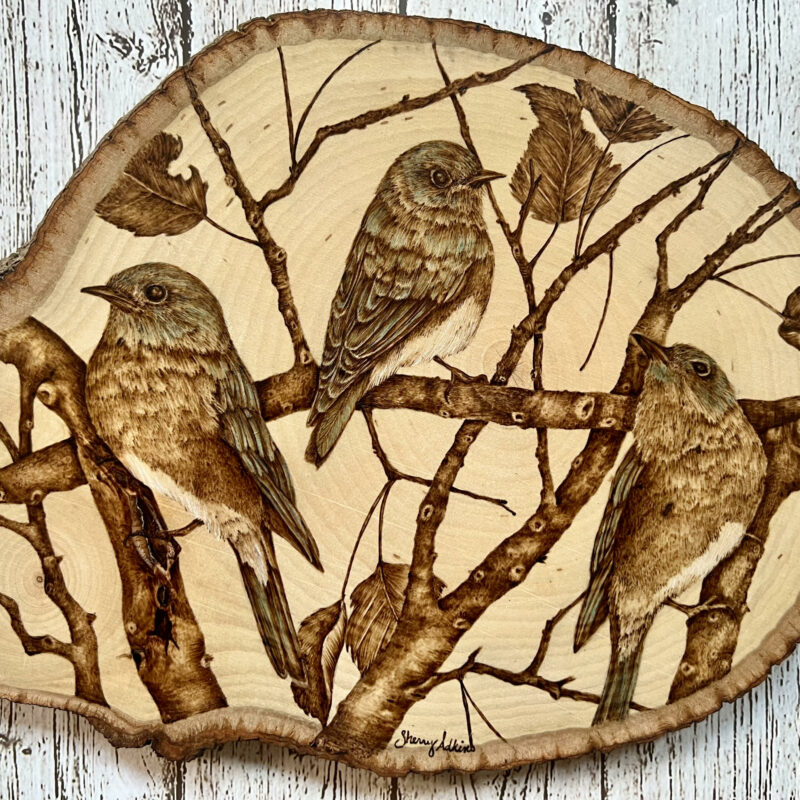pyrography art, handmade bluebirds, wildlife art