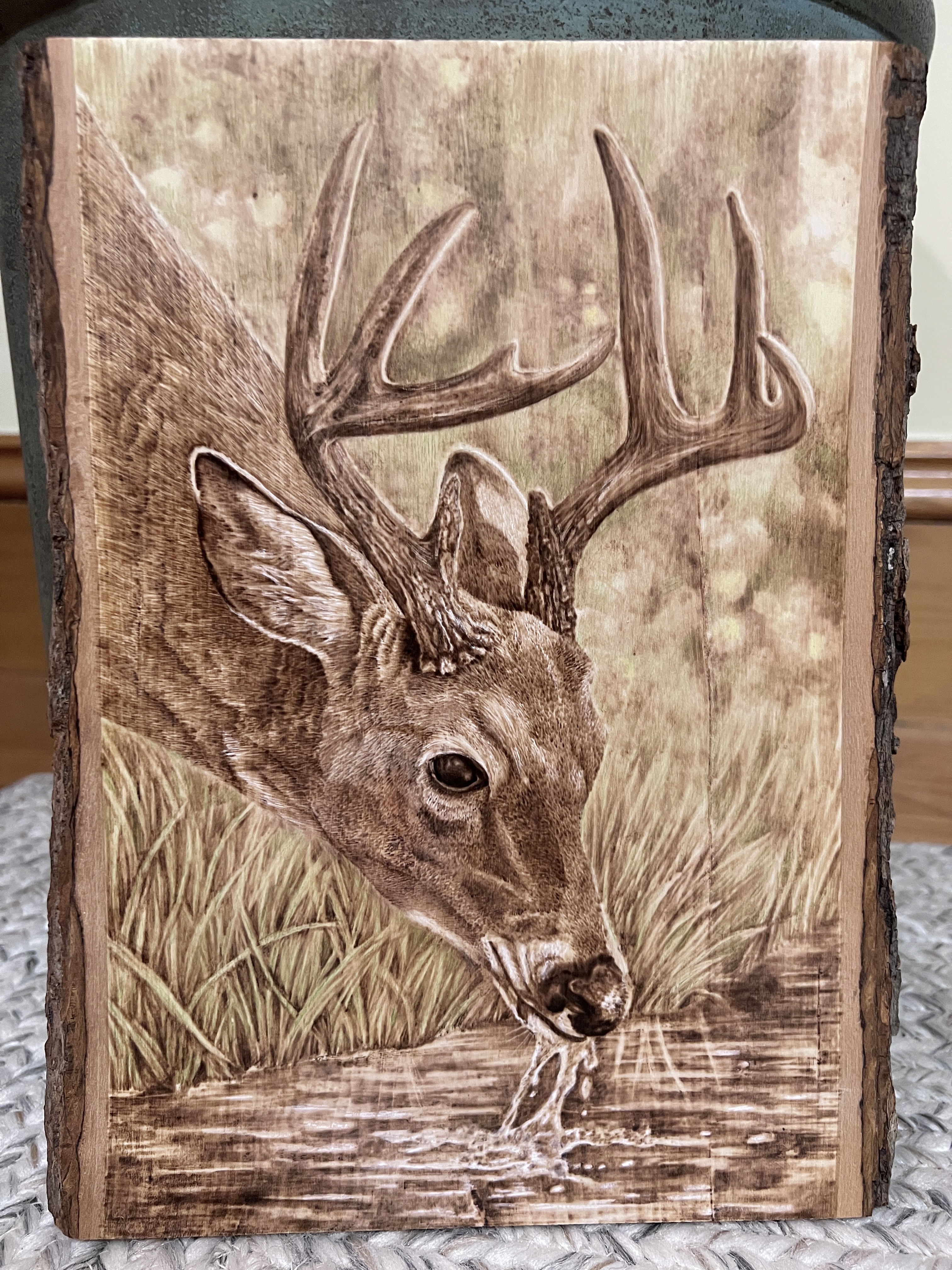 pyrography whitetail buck, woodburned deer
