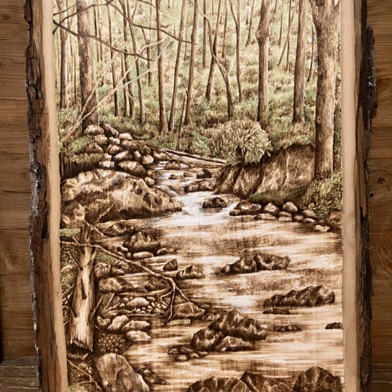 pyrography landscape, woodburning landscape