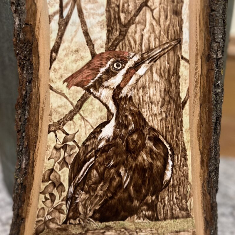 woodburned woodpecker, pyrography woodpecker