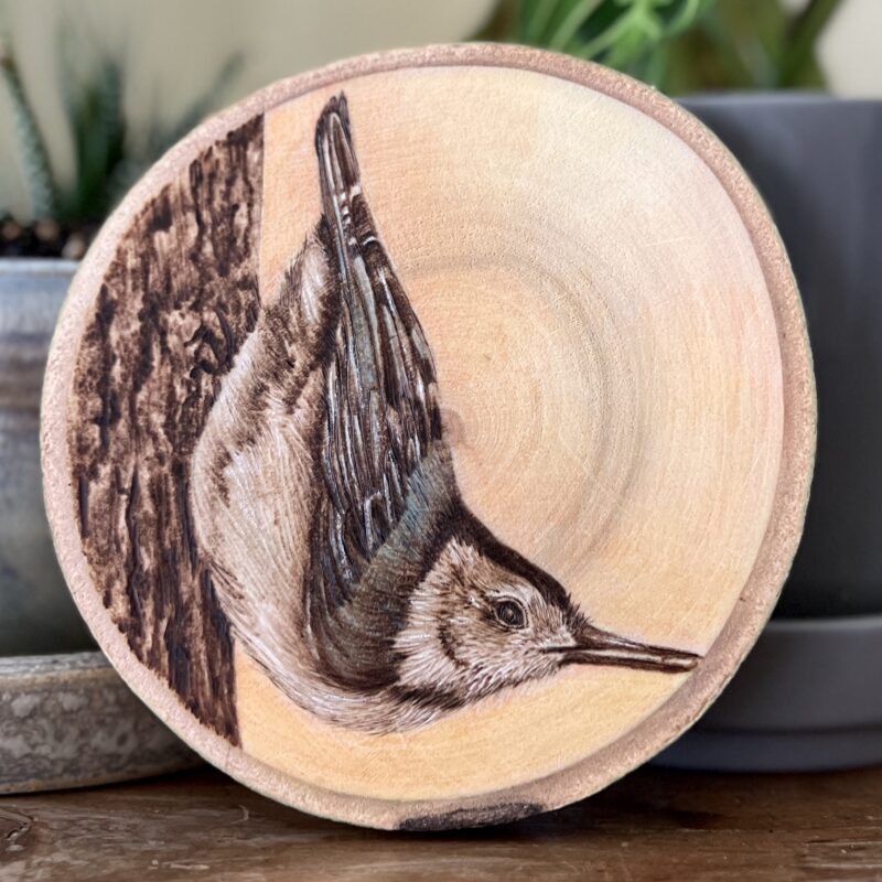 pyrography nuthatch bird, woodburned art
