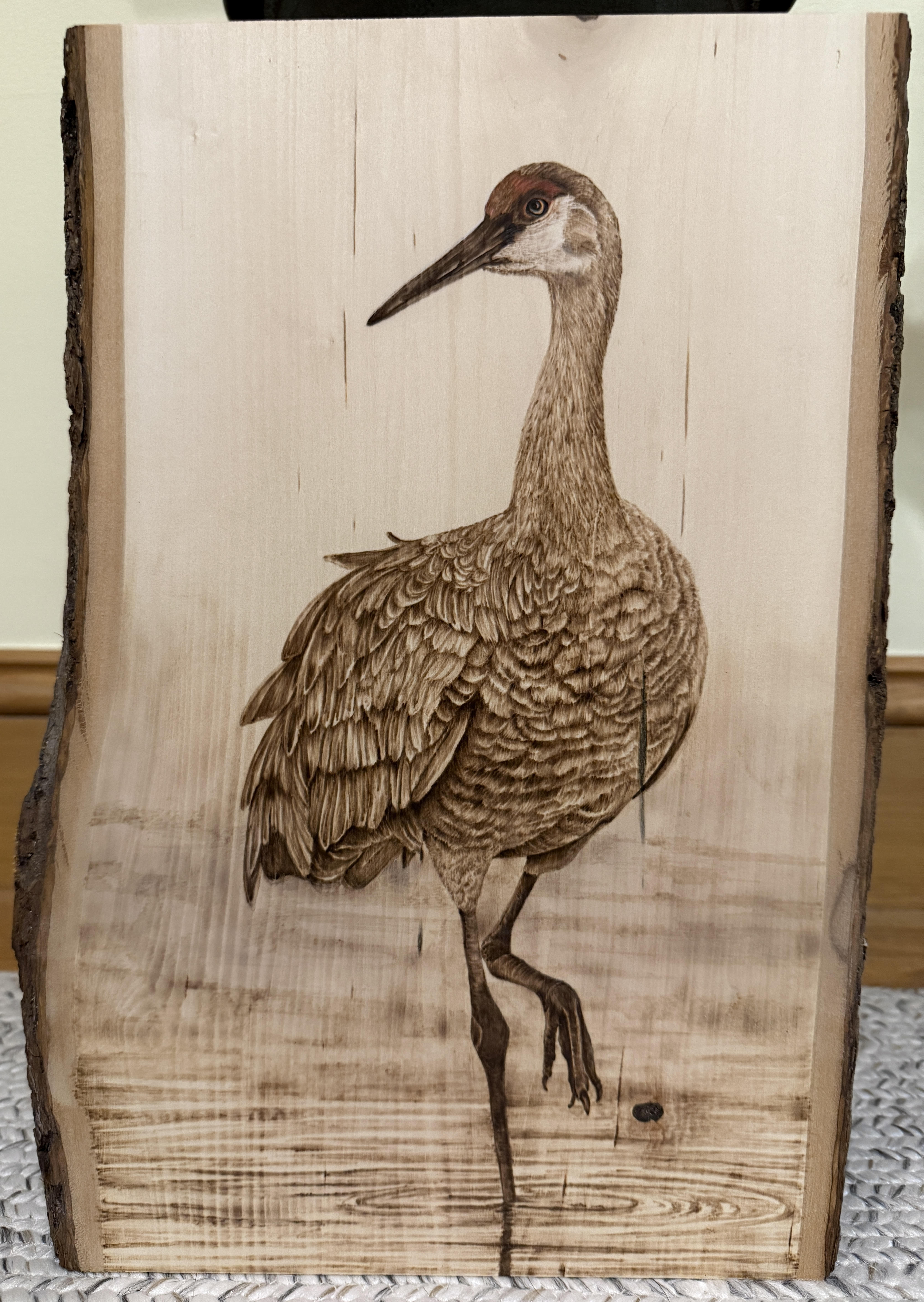 pyrography art, wildlife art, woodburning