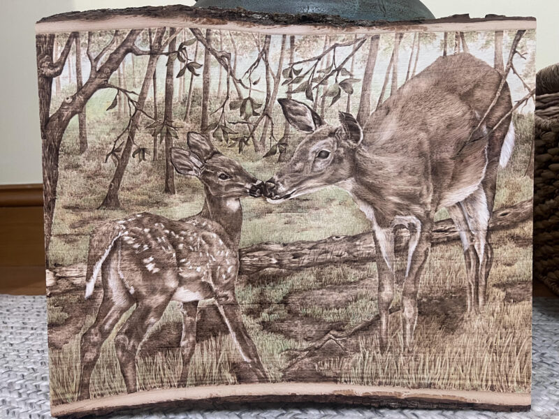 pyrography, woodburning art, pyrography art, whitetail deer art