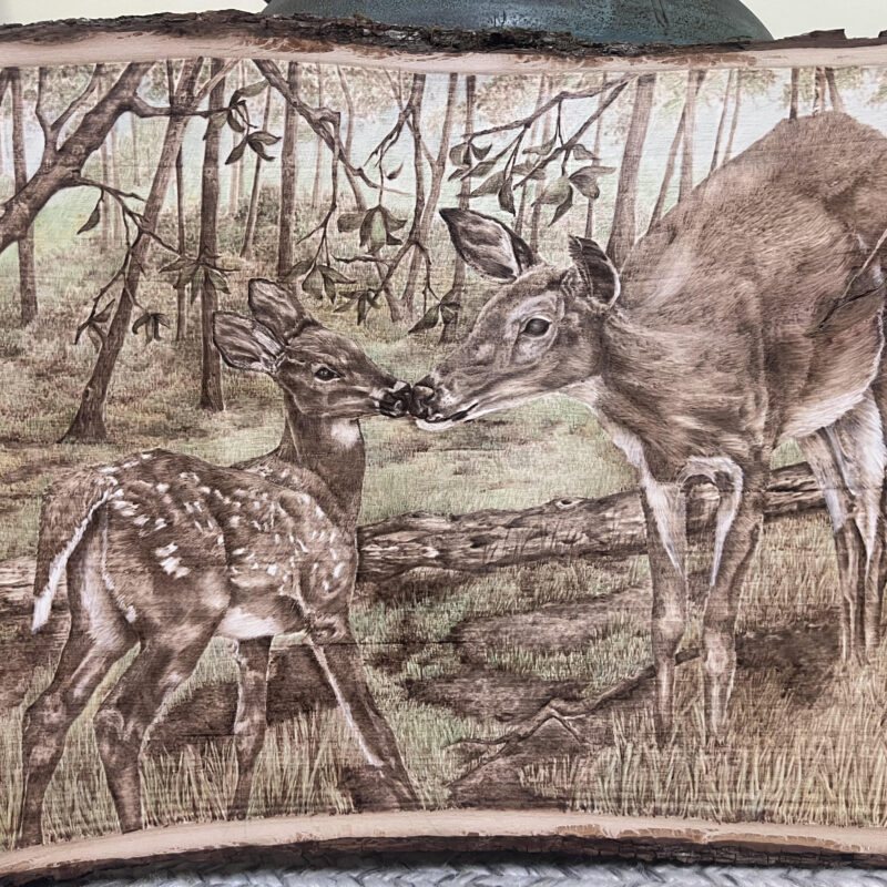 pyrography, woodburning art, pyrography art, whitetail deer art
