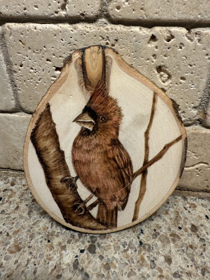 cardinal magnet, woodburned cardinal