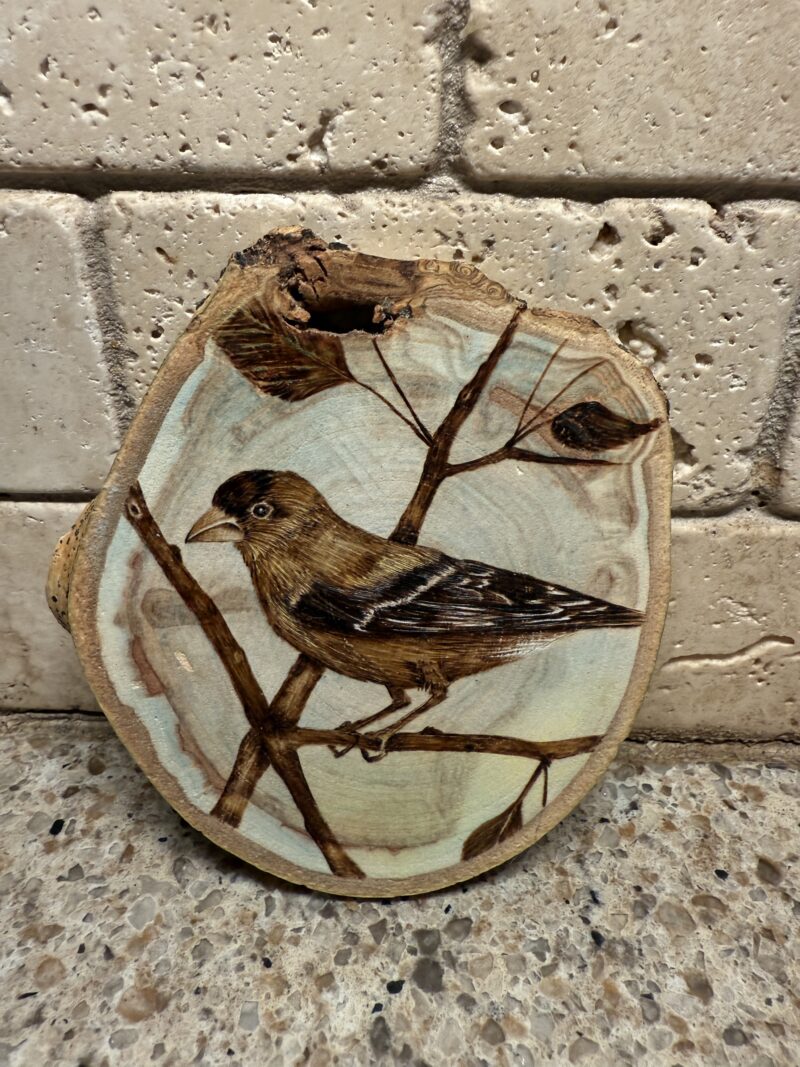 woodburned goldfinch, woodburned bird art