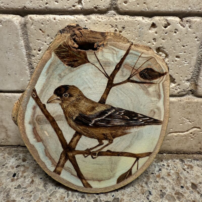 woodburned goldfinch, woodburned bird art