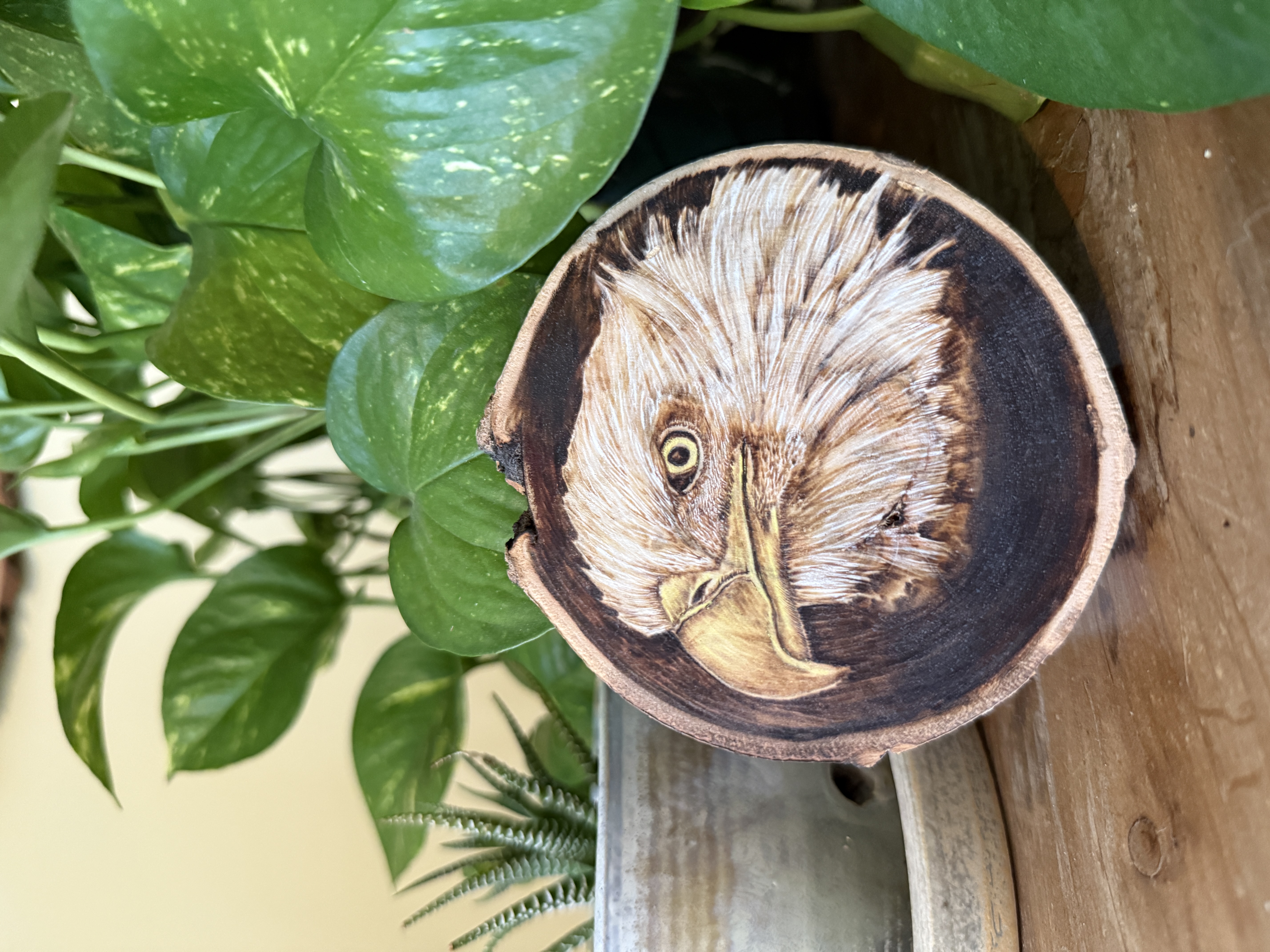 wood burned bald eagle wood slice