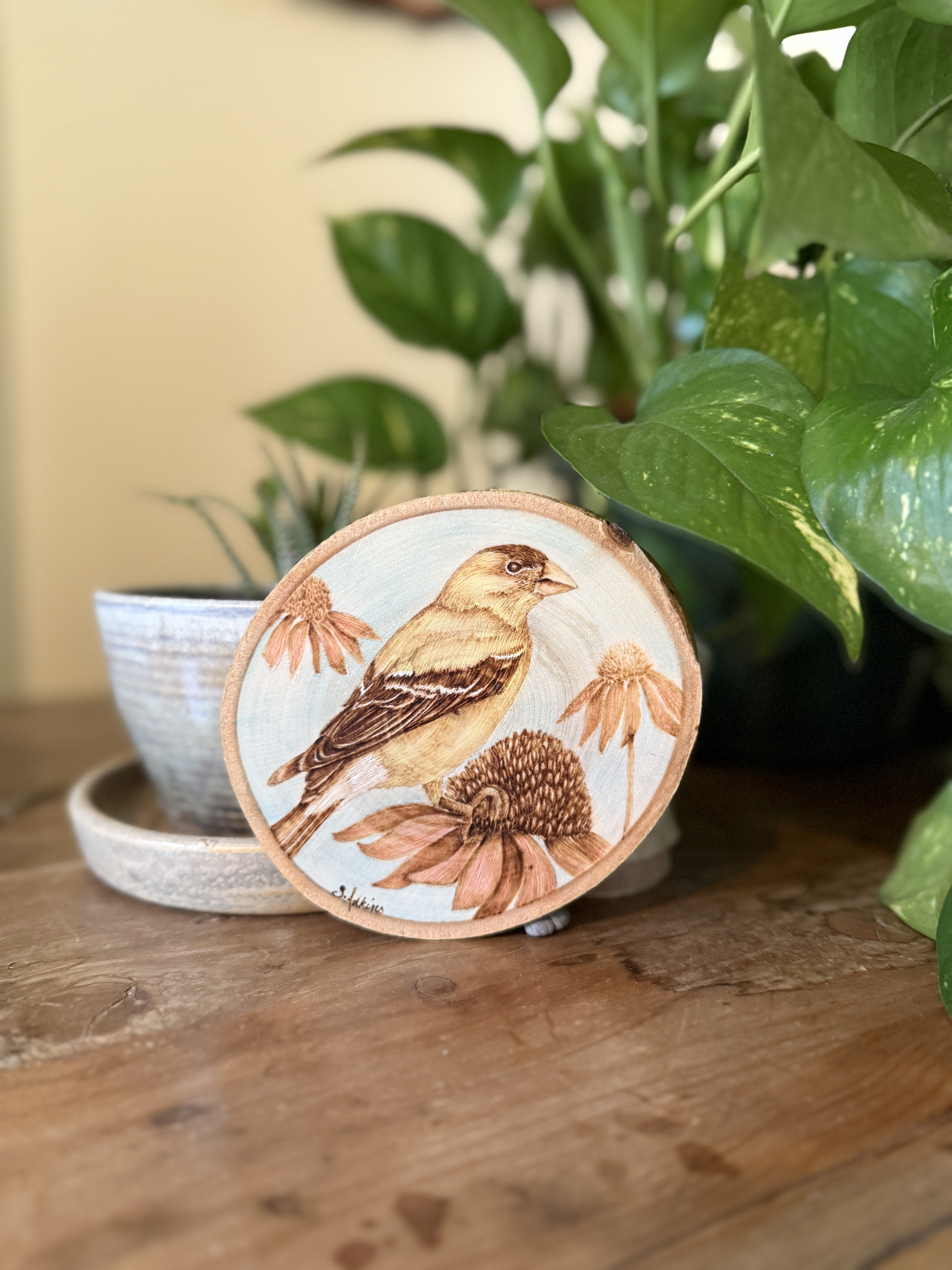 woodburned bird wood slice