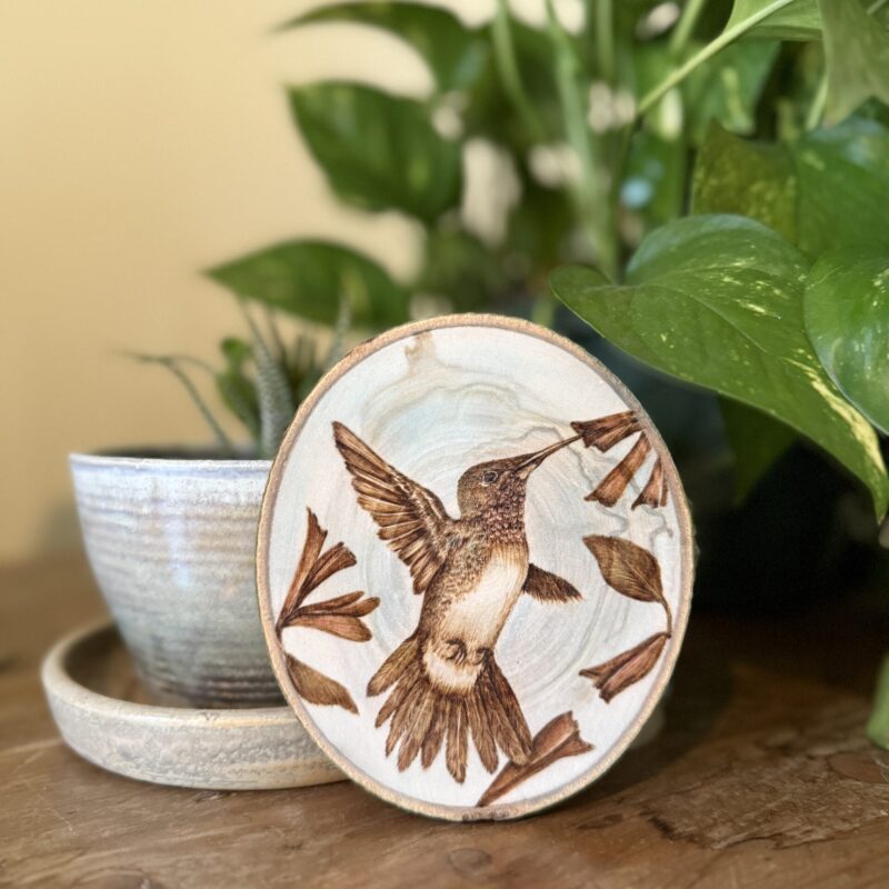 woodburned hummingbird wood slice