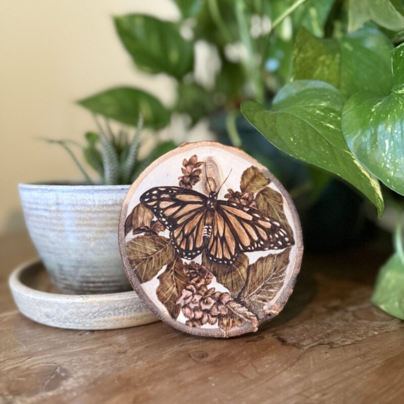 monarch butterfly woodslice woodburning