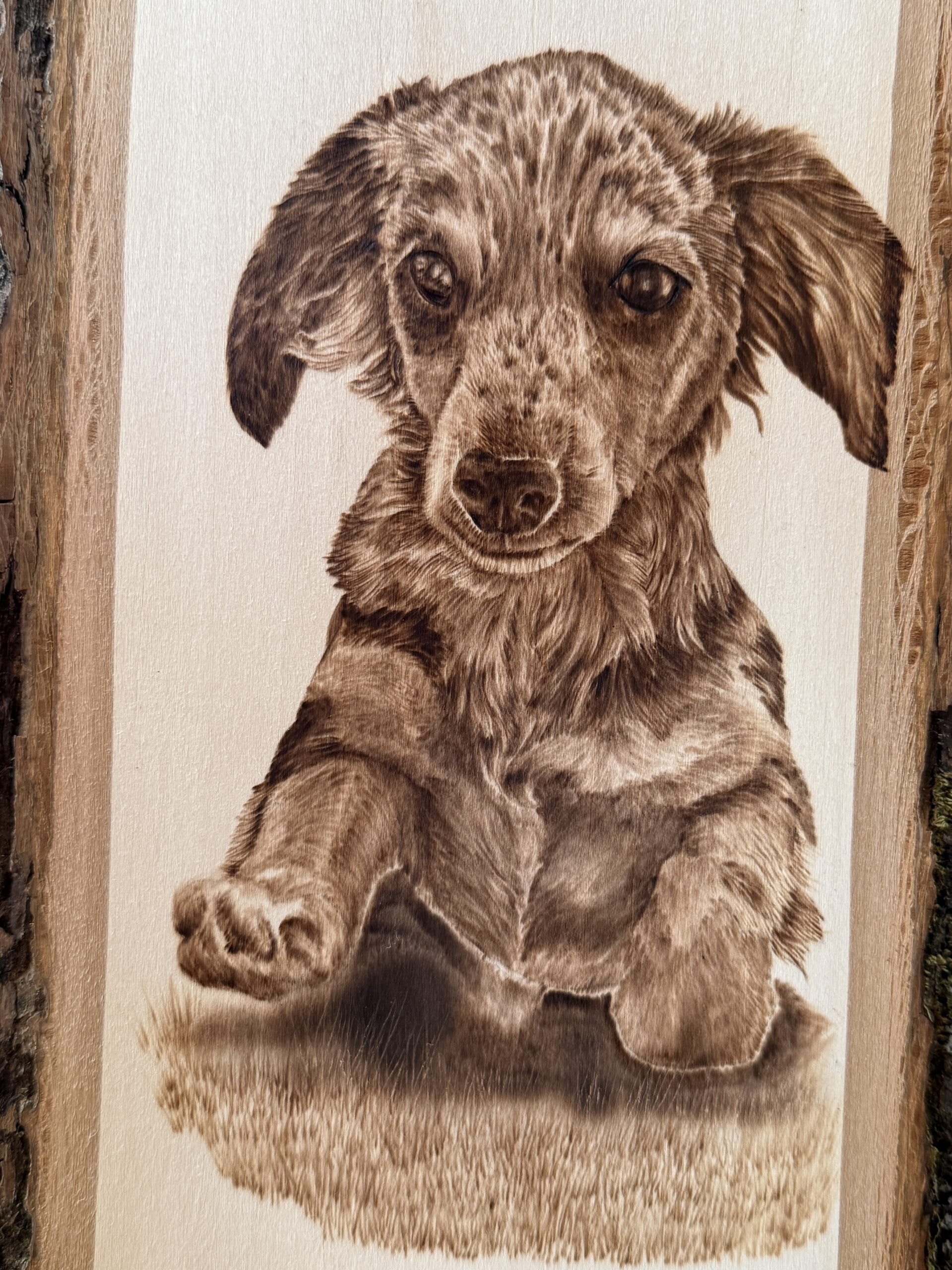 bluebird wood burning