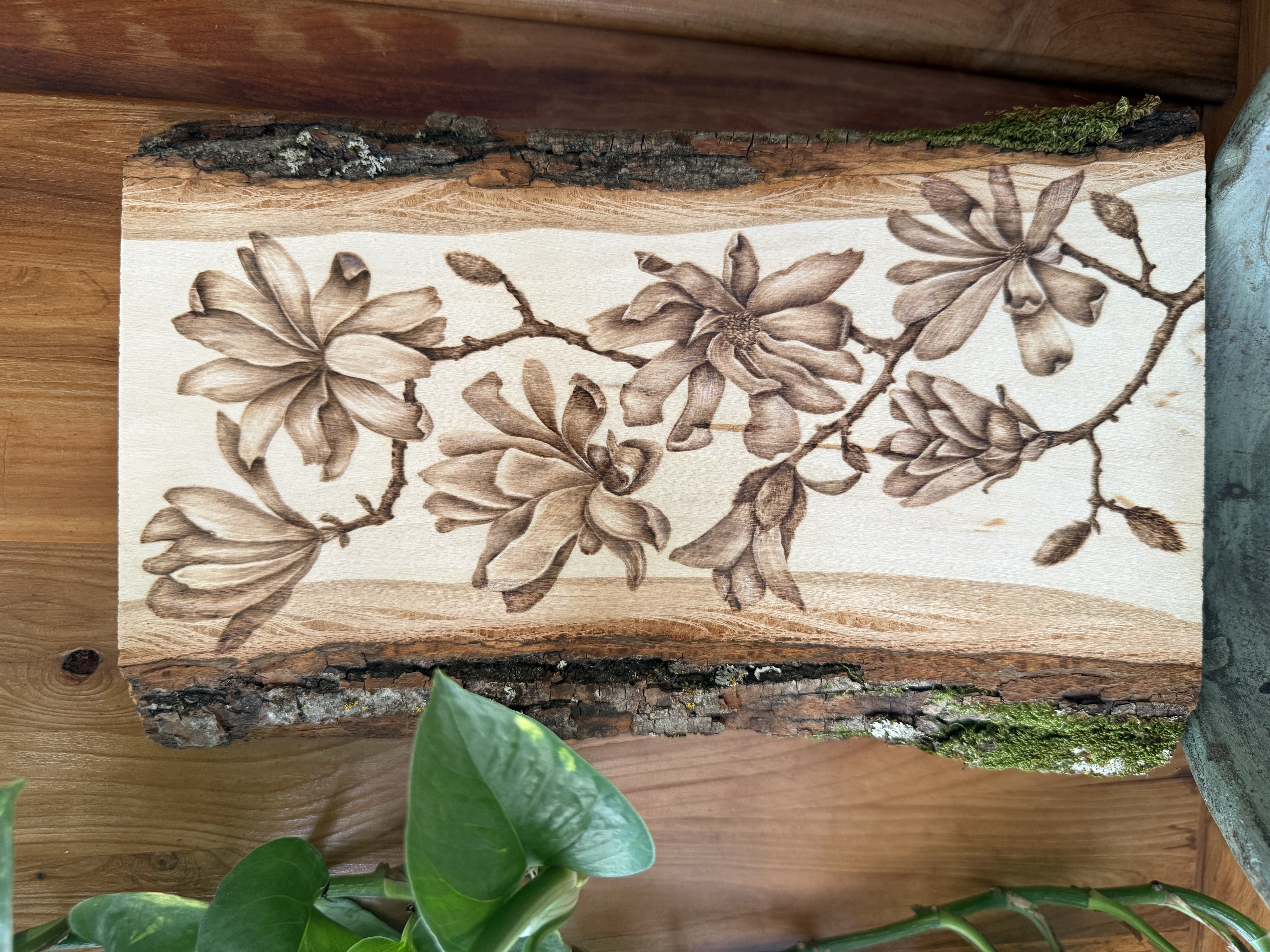 woodburned art of magnolia flowers, pyrograpgy, nature art