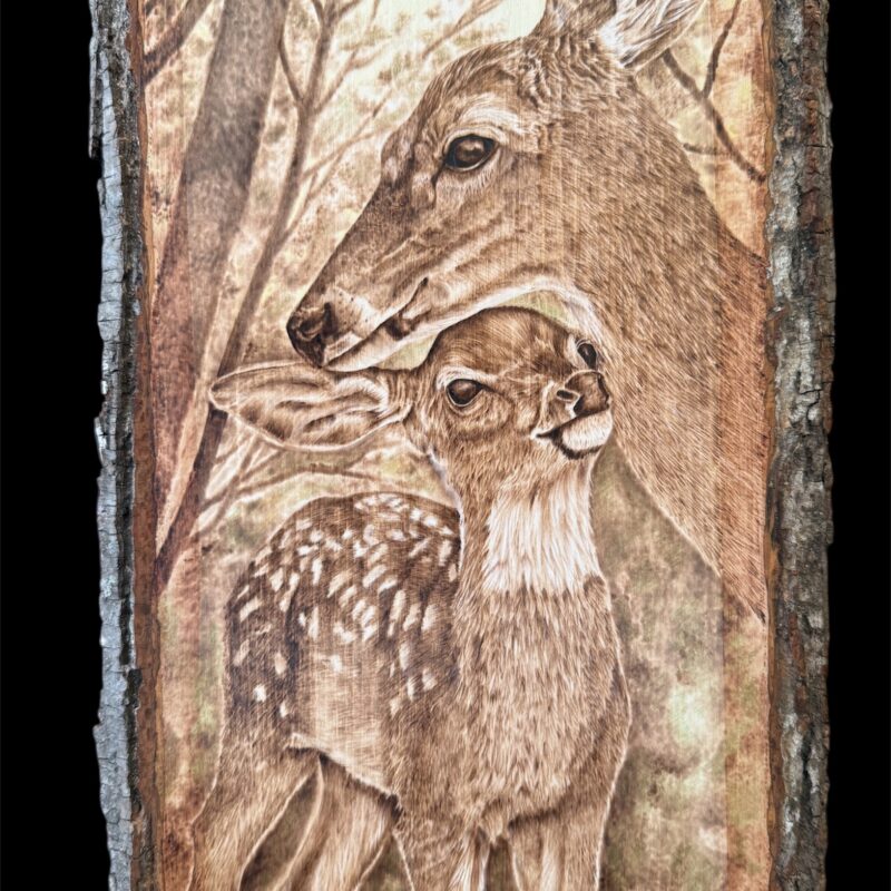 woodburned deer