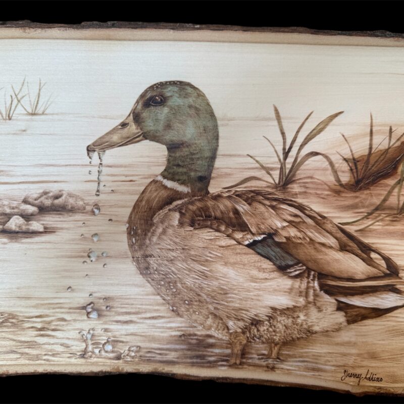 woodburning mallard duck, wildlife art