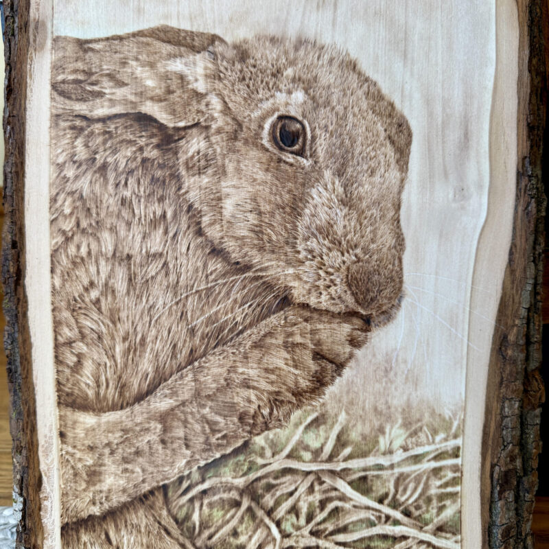 woodburned rabbit, wildlife art