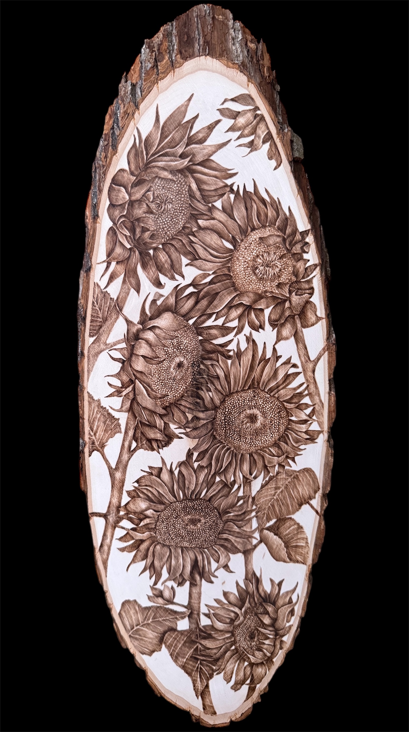 woodburned sunflowers