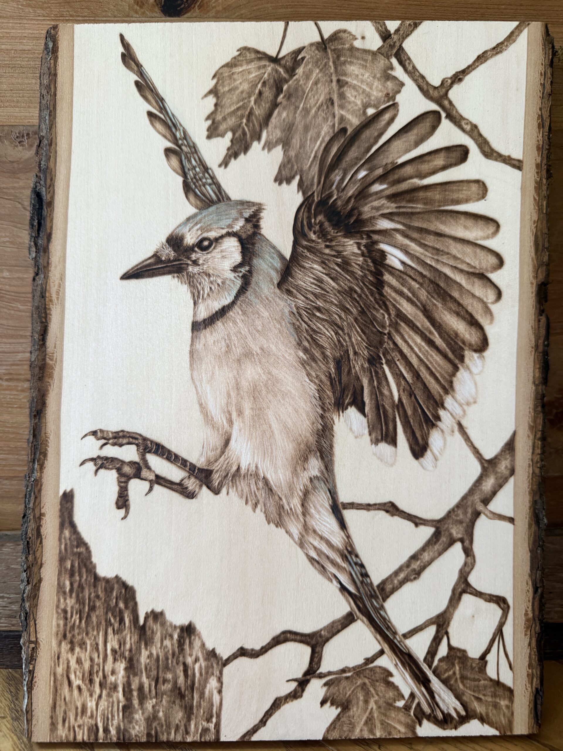 bluebird wood burning